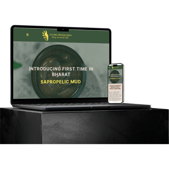 website develpment in bangalore